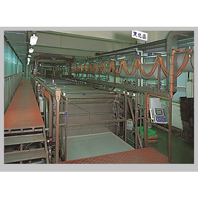 Auto. Black Oxide Plating Equipment